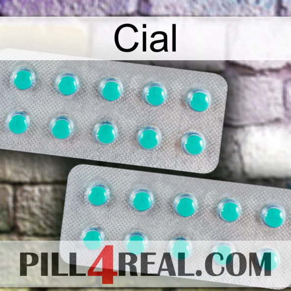 Cial 29.jpg